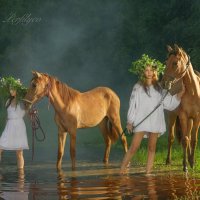 утреннее :: игорь 