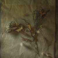 Мотив прошлой осени... :: Oleg Rastorguev