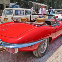 ЯГУАР :: Надя Кушнир