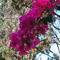 Барселона. :: Владимир Драгунский Барселона. :: Владимир Драгунский