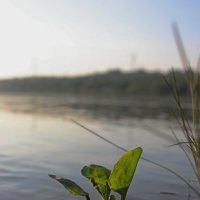 На берегу :: Иван Мануковский