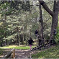 Летние радости.... :: Aleksandr Gal