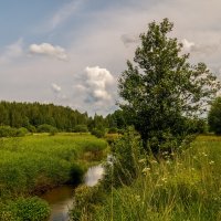 Родные берега 5 :: Андрей Дворников