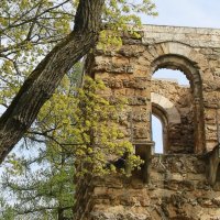 Стрельна. Орловский парк :: Наталья Герасимова Стрельна. Орловский парк :: Наталья Герасимова