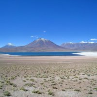 На высокогорном плато Альтиплано, на севере Чили. :: unix (Илья Утропов)