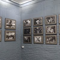 деревня Р`одня :: zavitok *