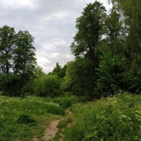 День России. Для меня Россия такая :: Андрей Лукьянов