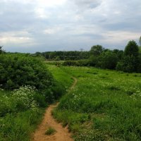 День России. Для меня Россия такая :: Андрей Лукьянов