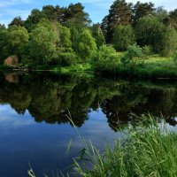 *** :: Владимир Безбородов