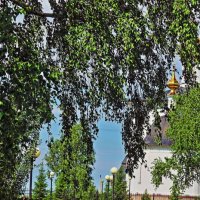 Июнь...Летний отдых  детей в церковном парке! :: Владимир 