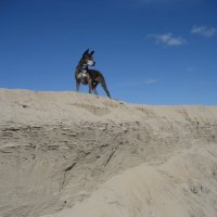 Позёр :: Anna Ivanova