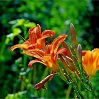 ЛЕТО :: Юрий Владимирович 34 ЛЕТО :: Юрий Владимирович 34