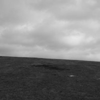 Три богатыря.... :: Aleksandr Gal Три богатыря.... :: Aleksandr Gal