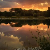Утро на гребном канале :: Андроник Александр Утро на гребном канале :: Андроник Александр