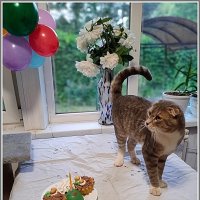 Фунтик. :: Владимир Попов Фунтик. :: Владимир Попов