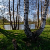 Рогатка... :: Николай Гирш Рогатка... :: Николай Гирш