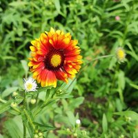 ,,, :: Сергей Тимоновский