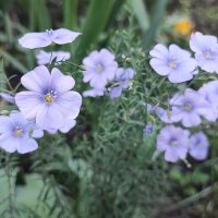 ,,, :: Сергей Тимоновский ,,, :: Сергей Тимоновский