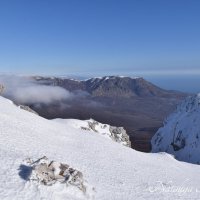 Природа Крыма :: Amazing Cosmea