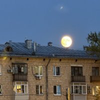 из дымохода вышел не дым)) :: Анна Камс из дымохода вышел не дым)) :: Анна Камс