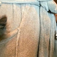 здравствуйте :: Михаил Столяров