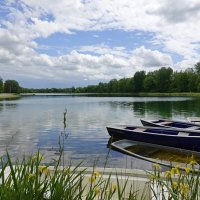Мало знать, что мы частичка природы, нужно чувствовать её: - Аманов Мердан... :: Галина 