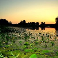 У РЕКИ.... :: Татьяна Касьяненко