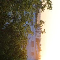 *** :: Яна Горбунова