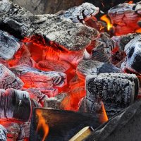 Подготовка к шашлычку... :: Станислав Мутовин