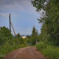 "Дорога к реке. Зеленый июнь"© :: Владимир Макаров "Дорога к реке. Зеленый июнь"© :: Владимир Макаров