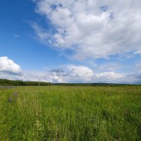 Родные просторы :: Андрей Зайцев