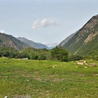 Баксанское ущелье. :: Tata Wolf Баксанское ущелье. :: Tata Wolf