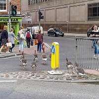 В Англии правила - они для всех правила. :: Игорь Викторов