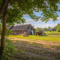 **** :: Елизавета .