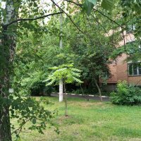 Мой край :: Елена Семигина Мой край :: Елена Семигина