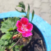 ,,, :: Сергей Тимоновский