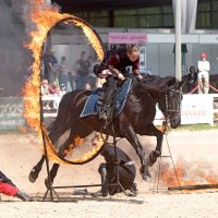 *** :: Алексей Смирнов