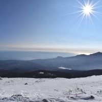 Природа Крыма :: Amazing Cosmea