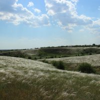 Ковыль. :: Виктор 