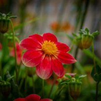 Макро :: Александр Бочериков