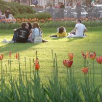 На полянке. Спб. Казанский собор. :: Alexey YakovLev