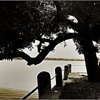 tata :: Denis Lipatov tata :: Denis Lipatov