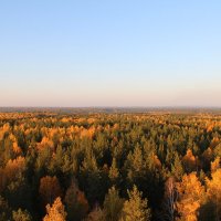 краски осени :: Игорь 