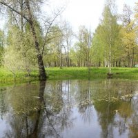 Стрельна. Орловский парк :: Наталья Герасимова Стрельна. Орловский парк :: Наталья Герасимова