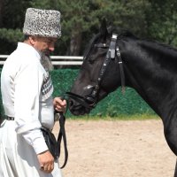 На конной выставке :: Магомед . На конной выставке :: Магомед .