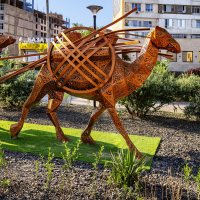 Верблюд :: Анатолий Чикчирный