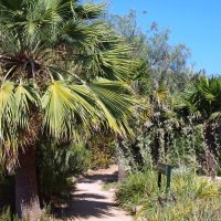 Барселона. :: Владимир Драгунский