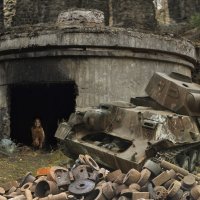 Маугли железо-бетонных ждунглей :: СЮ 