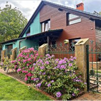 Лето. :: Валерия Комова