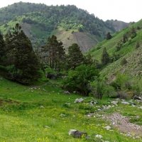 ПО ГОРАМ. :: Виктор Осипчук